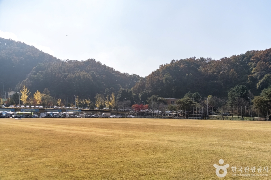 원주양궁장 여행 추천 - 메고지고 원주양궁장 여행 추천 - 메고지고
