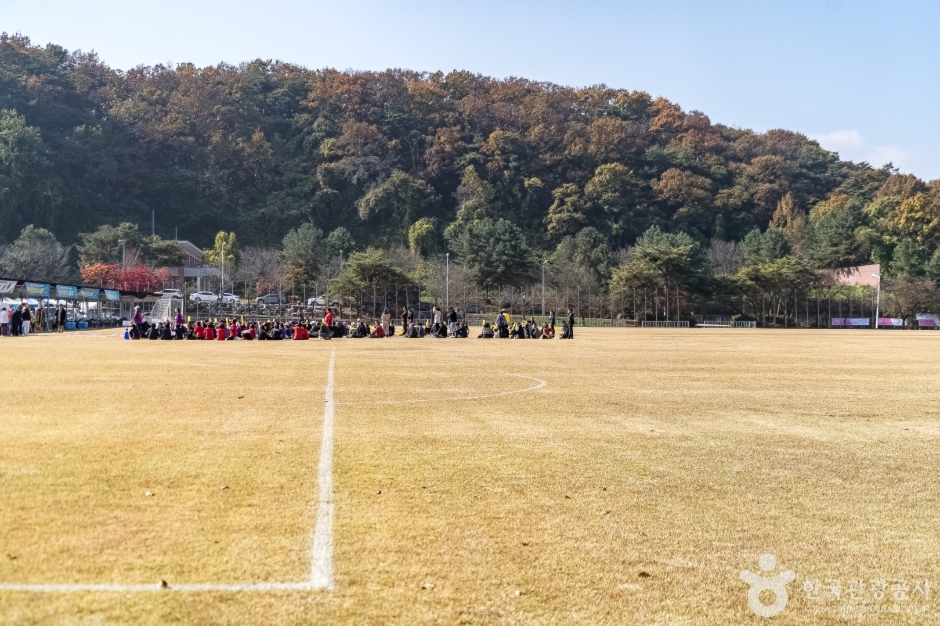 원주양궁장 여행 추천 - 메고지고 원주양궁장 여행 추천 - 메고지고