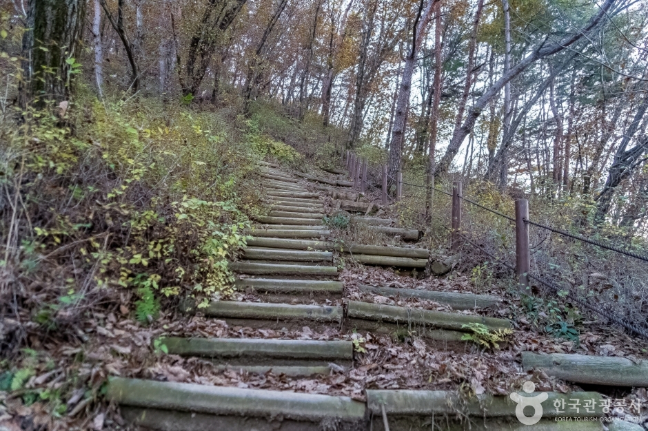 배부른산 여행 추천 - 메고지고 배부른산 여행 추천 - 메고지고