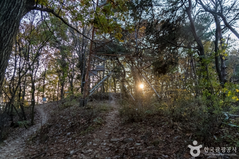 배부른산 여행 추천 - 메고지고 배부른산 여행 추천 - 메고지고