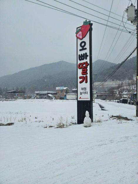 오빠딸기 여행 추천 - 메고지고 오빠딸기 여행 추천 - 메고지고
