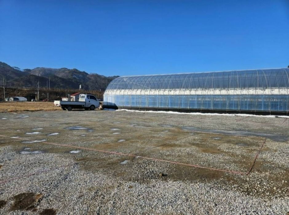 오빠딸기 여행 추천 - 메고지고 오빠딸기 여행 추천 - 메고지고