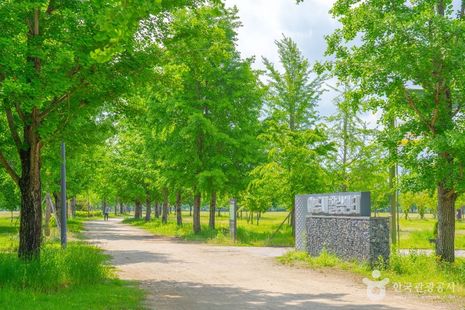 강천섬유원지 여행 추천 - 메고지고 강천섬유원지 여행 추천 - 메고지고