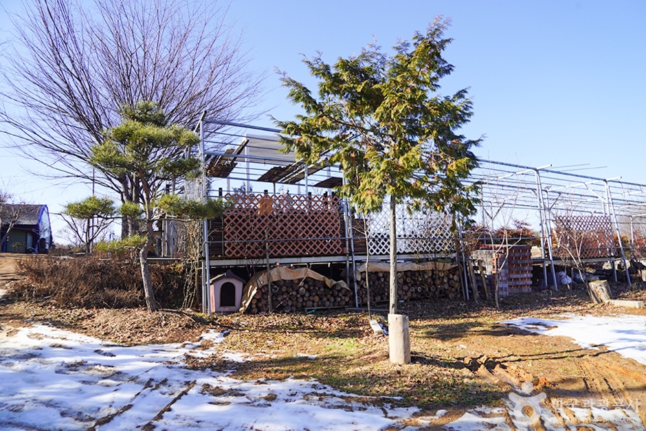 마실 휴양농원 여행 추천 - 메고지고 마실 휴양농원 여행 추천 - 메고지고
