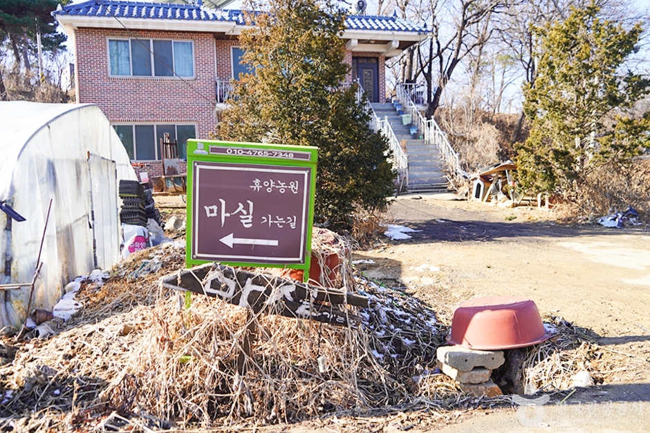 마실 휴양농원 여행 추천 - 메고지고 마실 휴양농원 여행 추천 - 메고지고