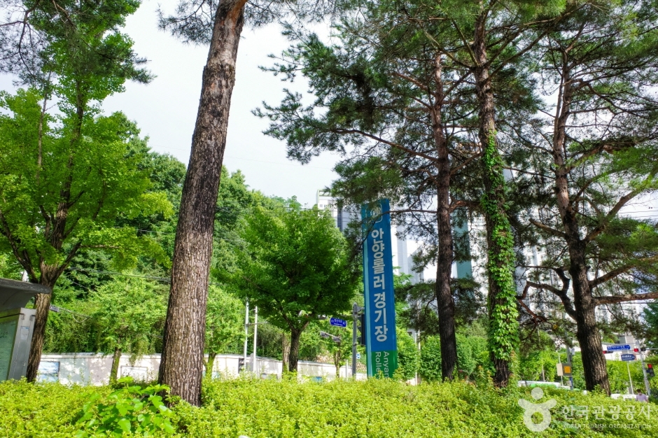 안양인라인롤러경기장 여행 추천 - 메고지고 안양인라인롤러경기장 여행 추천 - 메고지고