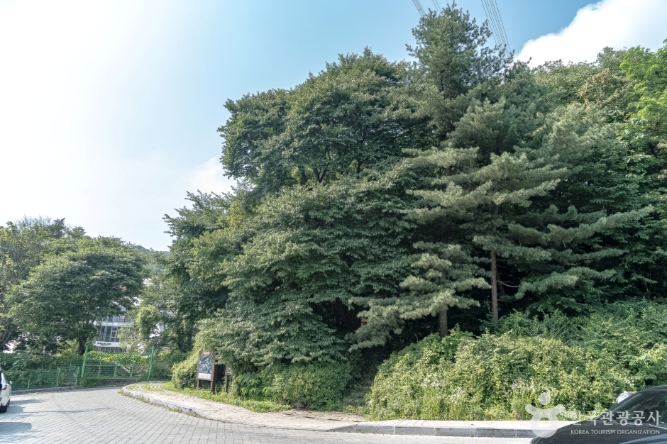 광교산체육공원 여행 추천 - 메고지고 광교산체육공원 여행 추천 - 메고지고