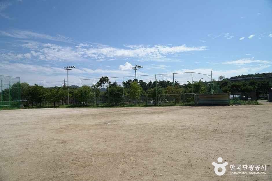 조안면체육공원 여행 추천 - 메고지고 조안면체육공원 여행 추천 - 메고지고