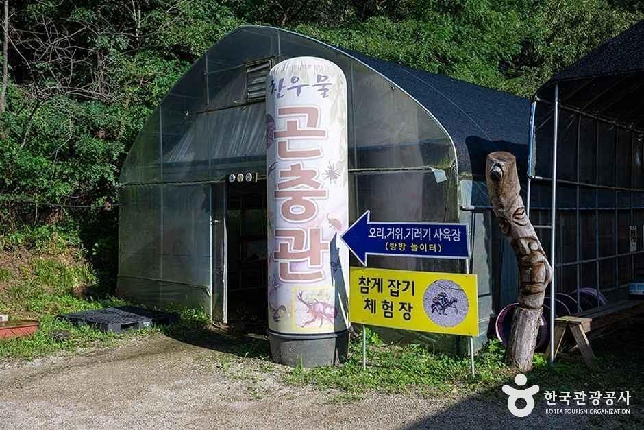 찬우물 체험동물농장 여행 추천 - 메고지고 찬우물 체험동물농장 여행 추천 - 메고지고