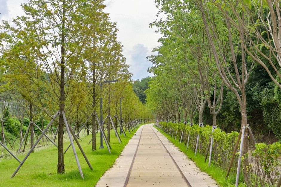 치악산 바람길숲 여행 추천 - 메고지고 치악산 바람길숲 여행 추천 - 메고지고
