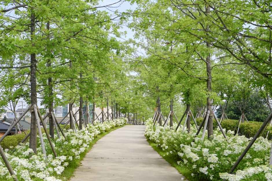 치악산 바람길숲 여행 추천 - 메고지고 치악산 바람길숲 여행 추천 - 메고지고