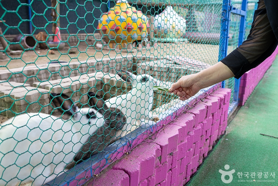 고양낙농치즈테마체험장 여행 추천 - 메고지고