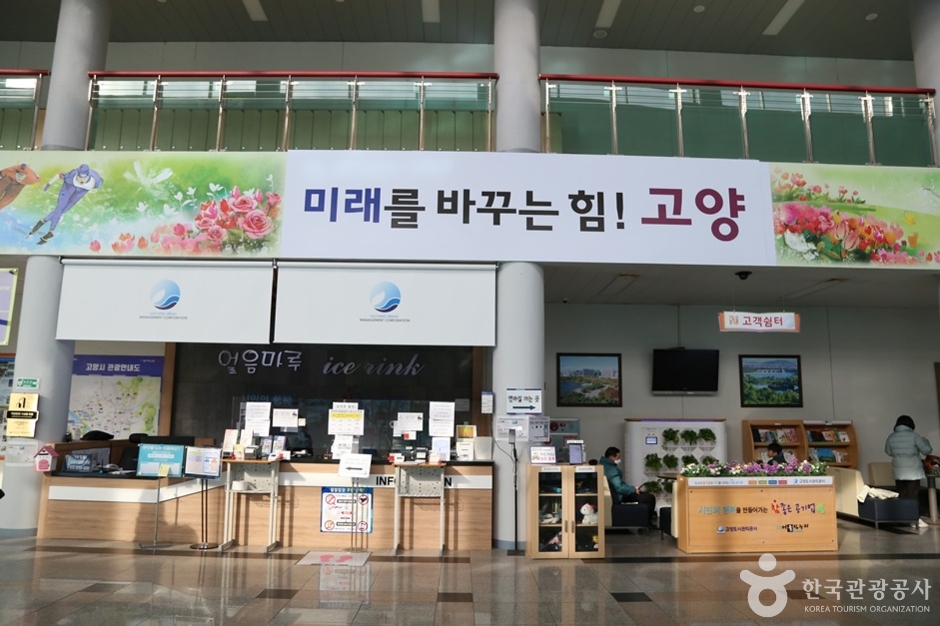 고양어울림누리 얼음마루 여행 추천 - 메고지고 고양어울림누리 얼음마루 여행 추천 - 메고지고