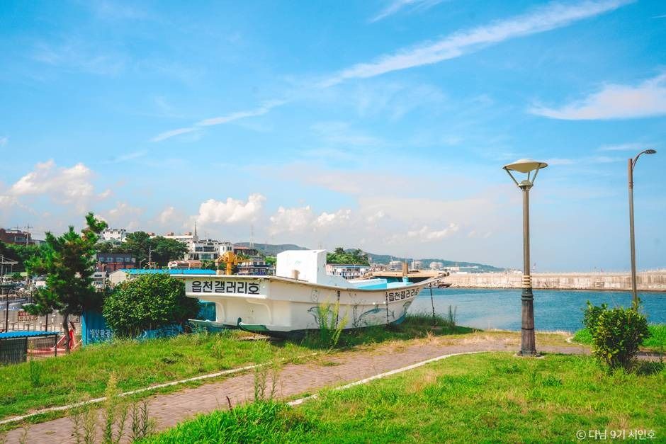 읍천항 여행 추천 - 메고지고