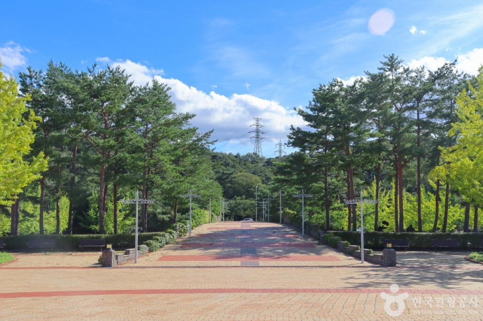 울산대공원 여행 추천 - 메고지고 울산대공원 여행 추천 - 메고지고