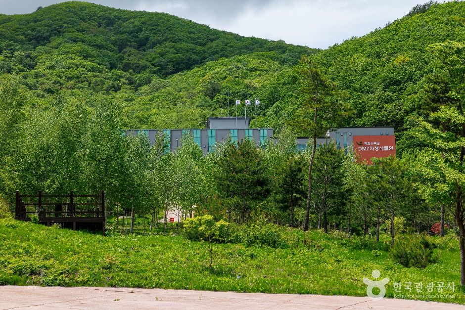 국립DMZ자생식물원 여행 추천 - 메고지고 국립DMZ자생식물원 여행 추천 - 메고지고