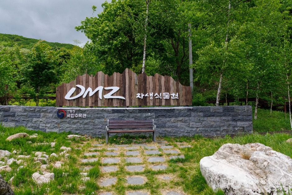 국립DMZ자생식물원 여행 추천 - 메고지고 국립DMZ자생식물원 여행 추천 - 메고지고