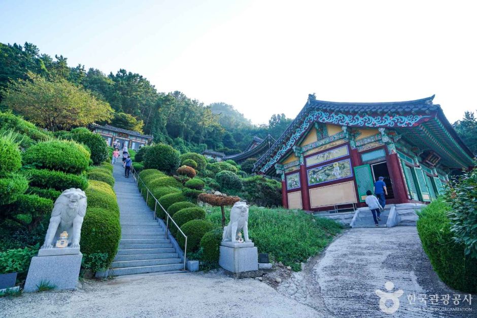 장수암 여행 추천 - 메고지고 장수암 여행 추천 - 메고지고
