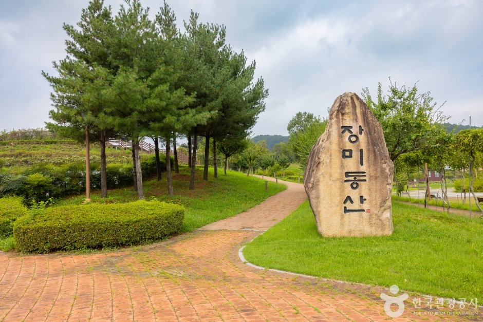 잠사곤충사업장 여행 추천 - 메고지고 잠사곤충사업장 여행 추천 - 메고지고