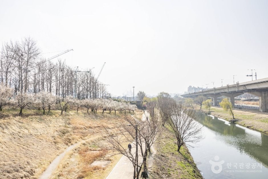 하동매실거리 여행 추천 - 메고지고 하동매실거리 여행 추천 - 메고지고