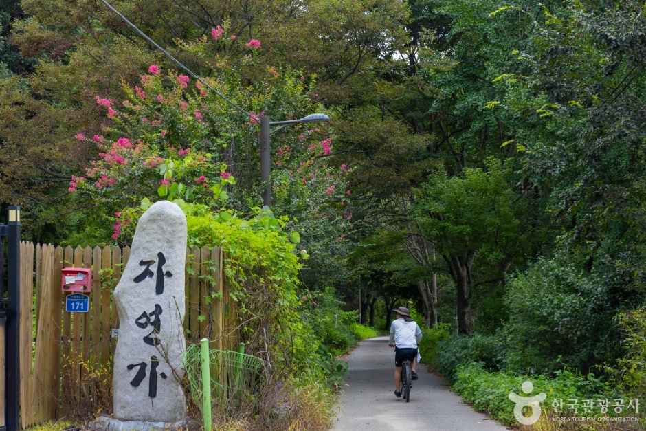 바람쐬는길 여행 추천 - 메고지고