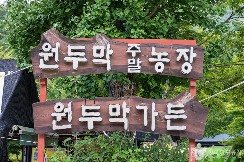 원두막주말농장 여행 추천 - 메고지고 원두막주말농장 여행 추천 - 메고지고