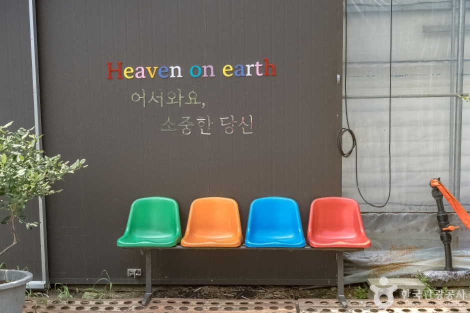 헤븐온어스 여행 추천 - 메고지고