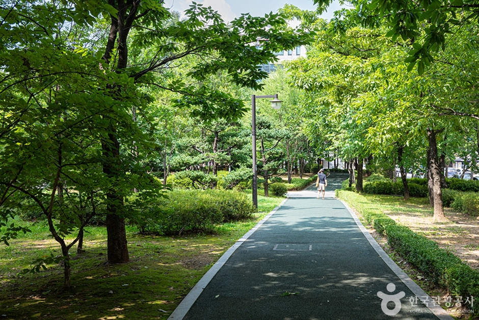 화정중앙공원 여행 추천 - 메고지고 화정중앙공원 여행 추천 - 메고지고