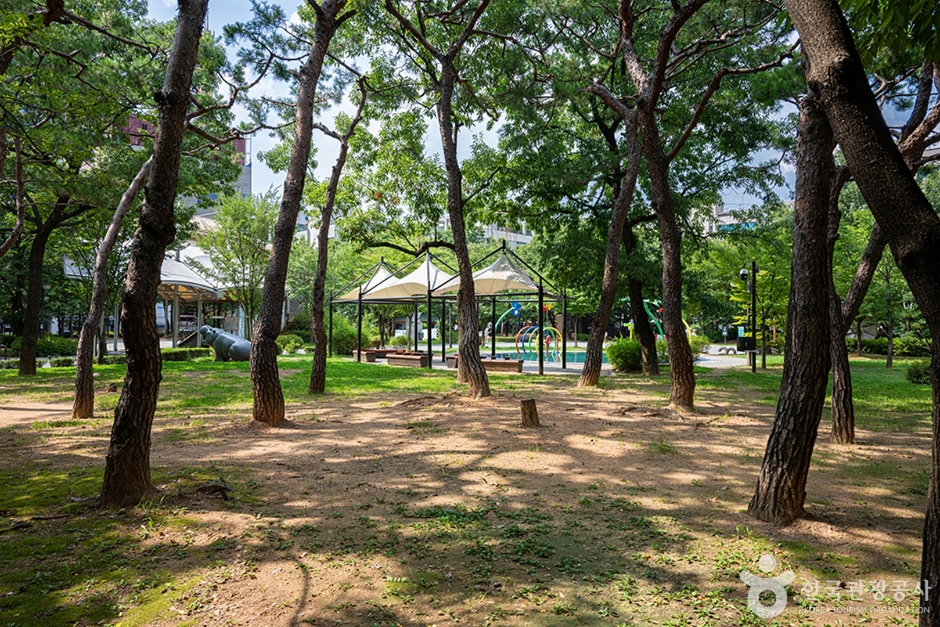 화정중앙공원 여행 추천 - 메고지고 화정중앙공원 여행 추천 - 메고지고