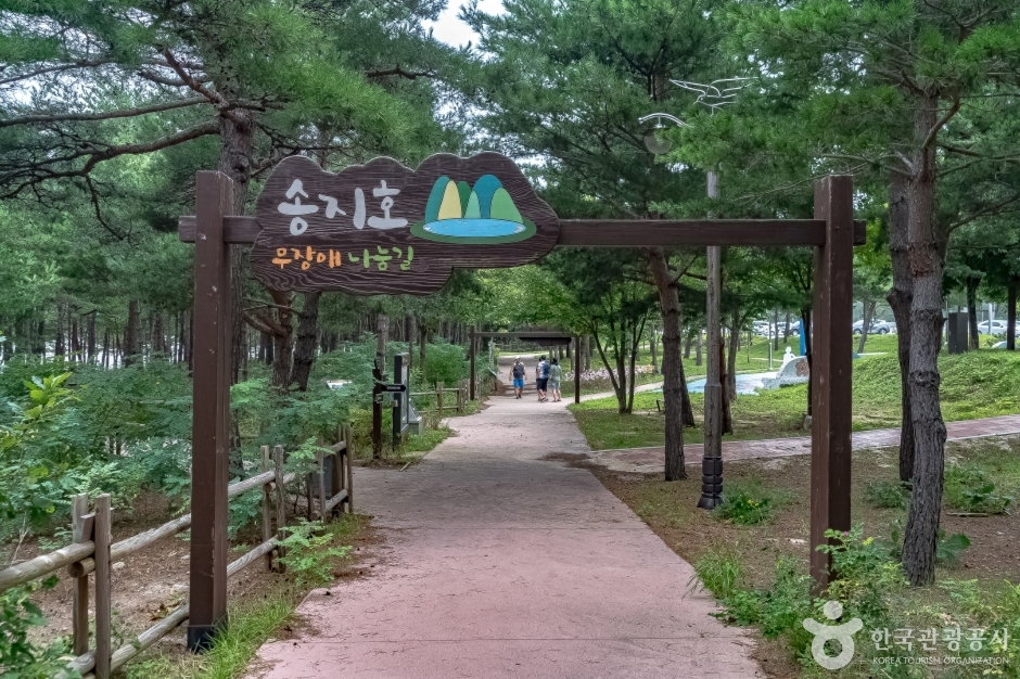 송지호둘레길 여행 추천 - 메고지고 송지호둘레길 여행 추천 - 메고지고