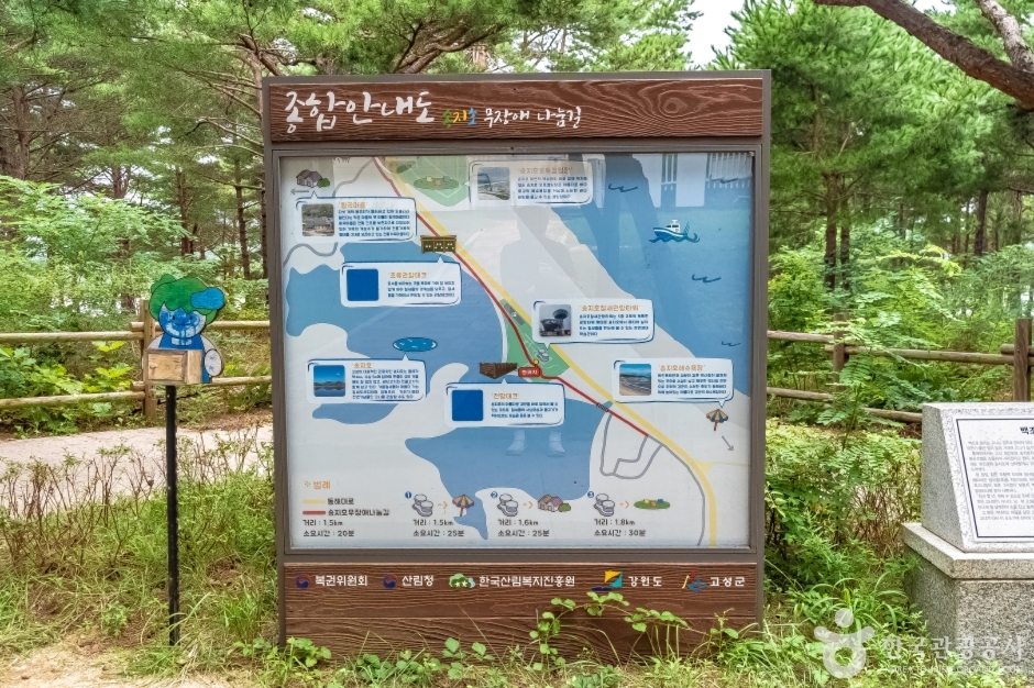 송지호둘레길 여행 추천 - 메고지고 송지호둘레길 여행 추천 - 메고지고