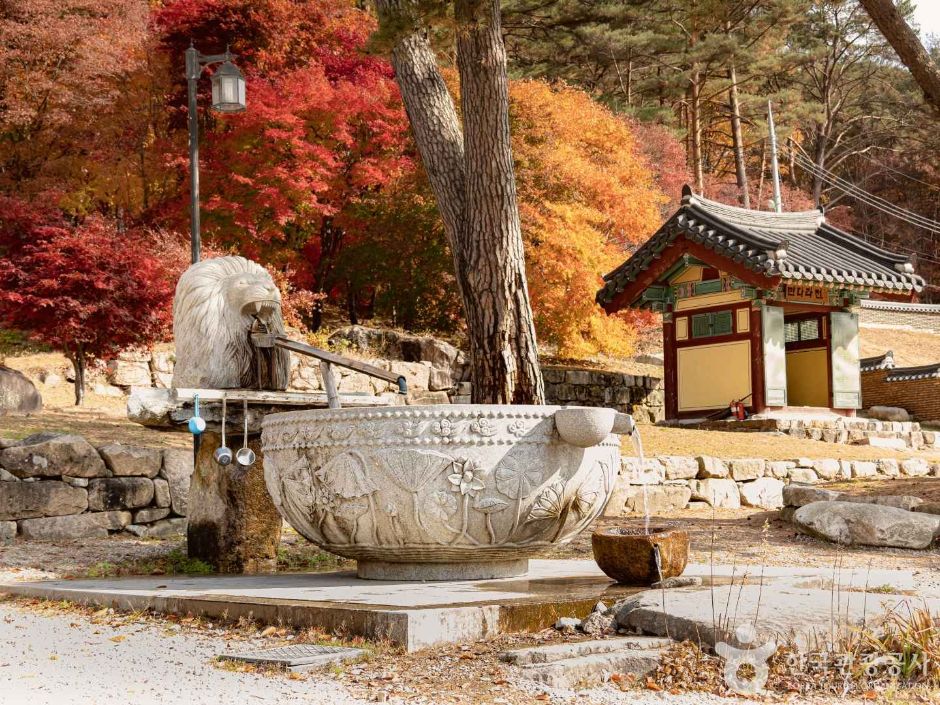 법흥사(영월) 여행 추천 - 메고지고 법흥사(영월) 여행 추천 - 메고지고