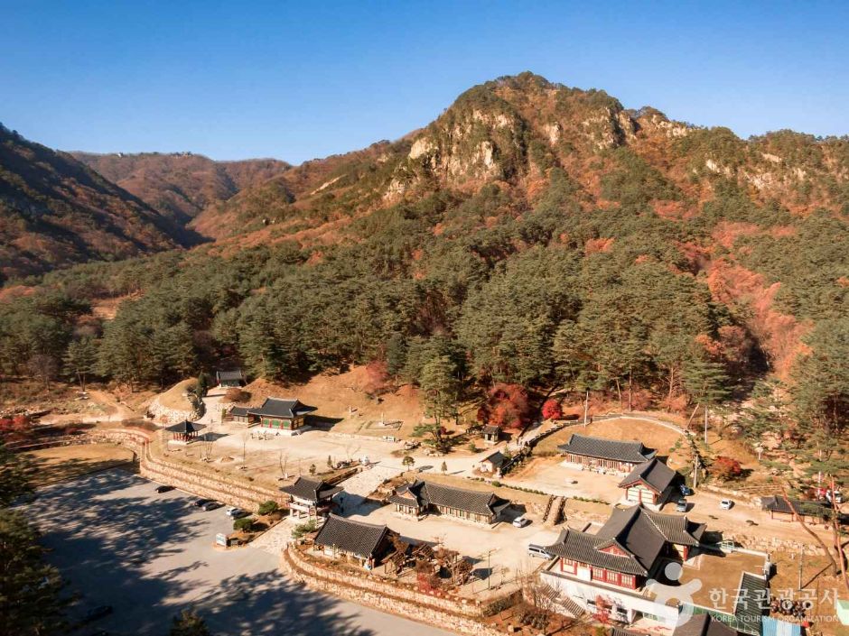 법흥사(영월) 여행 추천 - 메고지고 법흥사(영월) 여행 추천 - 메고지고