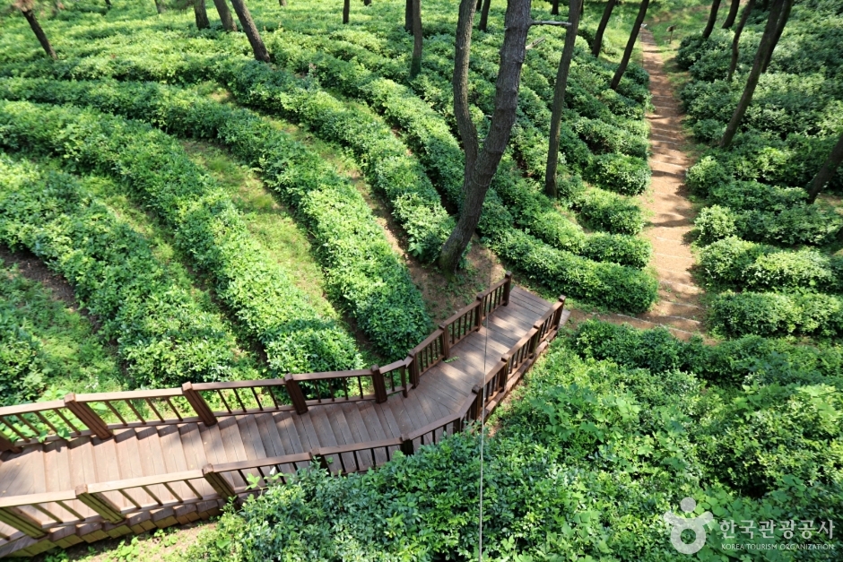 익산산림조합산림문화체험관 여행 추천 - 메고지고 익산산림조합산림문화체험관 여행 추천 - 메고지고