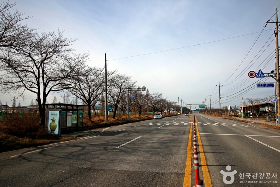 전군가도100리벚꽃길 여행 추천 - 메고지고 전군가도100리벚꽃길 여행 추천 - 메고지고