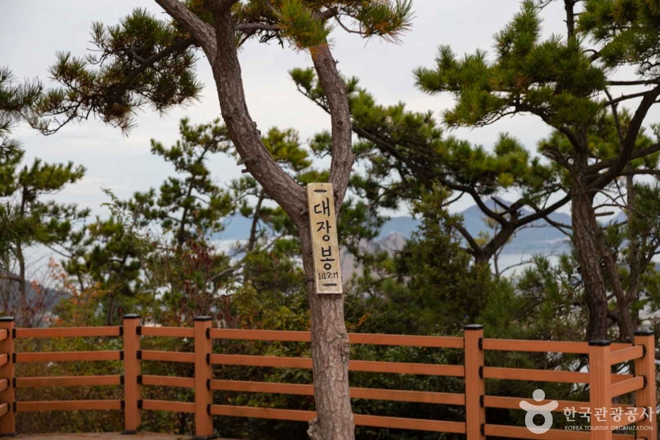 대장봉 여행 추천 - 메고지고 대장봉 여행 추천 - 메고지고