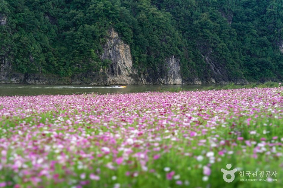 도담정원 여행 추천 - 메고지고 도담정원 여행 추천 - 메고지고