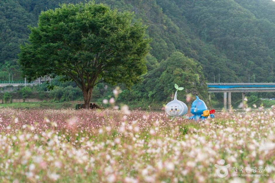 도담정원 여행 추천 - 메고지고 도담정원 여행 추천 - 메고지고