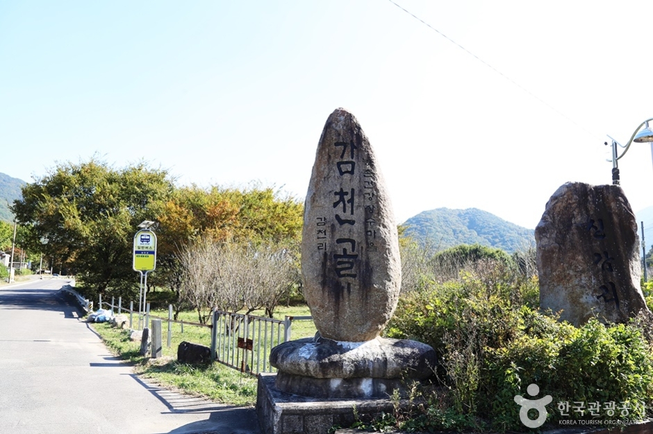 감천계곡 여행 추천 - 메고지고