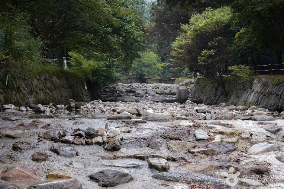 금오산야영장 여행 추천 - 메고지고 금오산야영장 여행 추천 - 메고지고