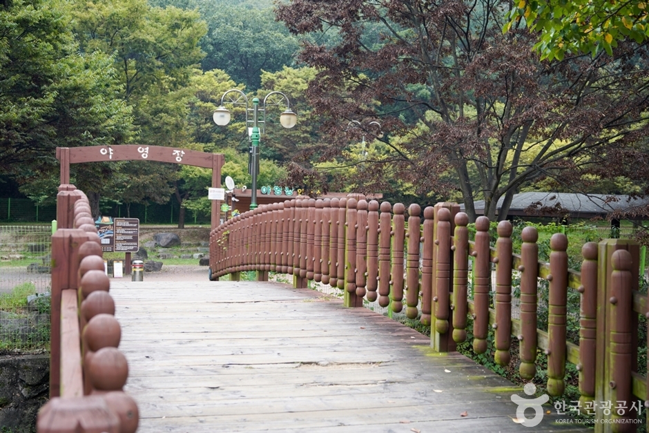 금오산야영장 여행 추천 - 메고지고 금오산야영장 여행 추천 - 메고지고