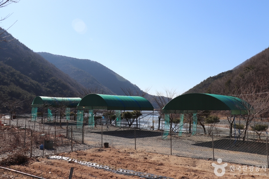 보현민박오토캠핑장 여행 추천 - 메고지고 보현민박오토캠핑장 여행 추천 - 메고지고