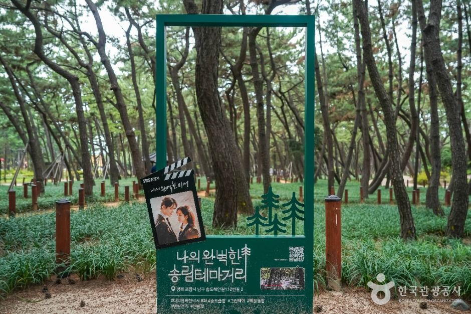 송도솔밭도시숲 여행 추천 - 메고지고