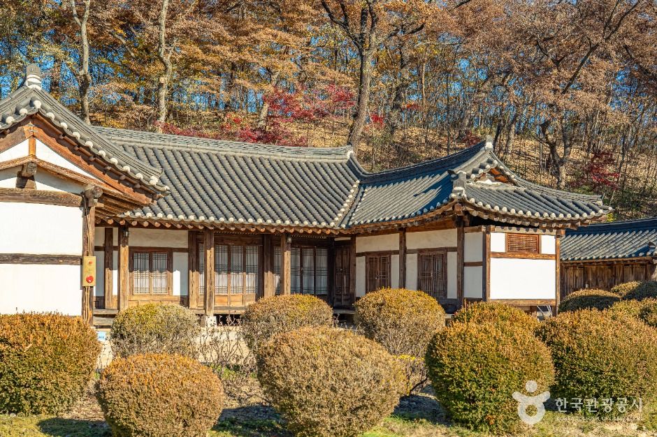 영동 김참판댁 여행 추천 - 메고지고 영동 김참판댁 여행 추천 - 메고지고