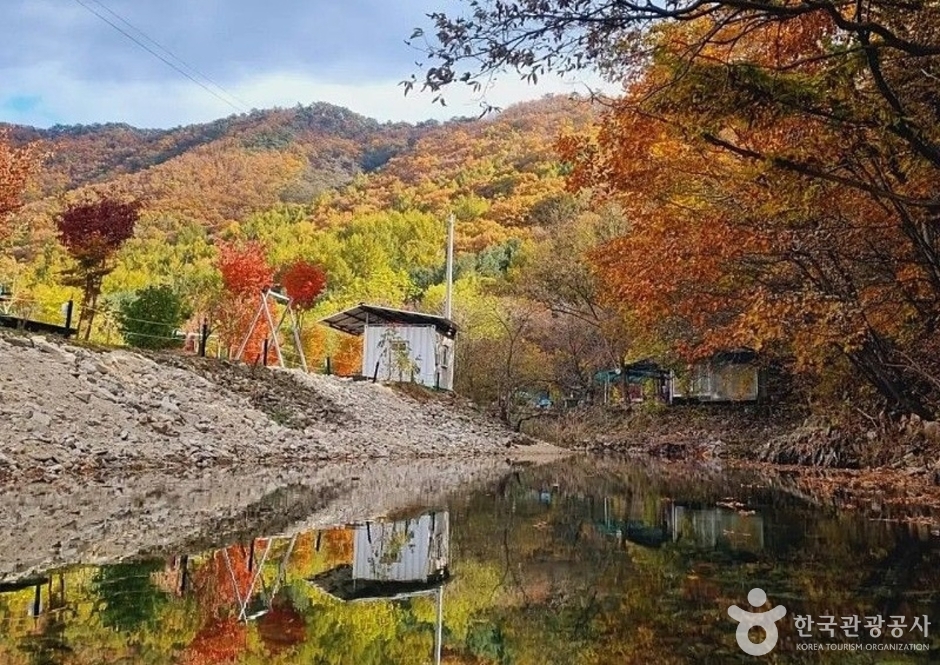 풀무산캠핑장 여행 추천 - 메고지고 풀무산캠핑장 여행 추천 - 메고지고