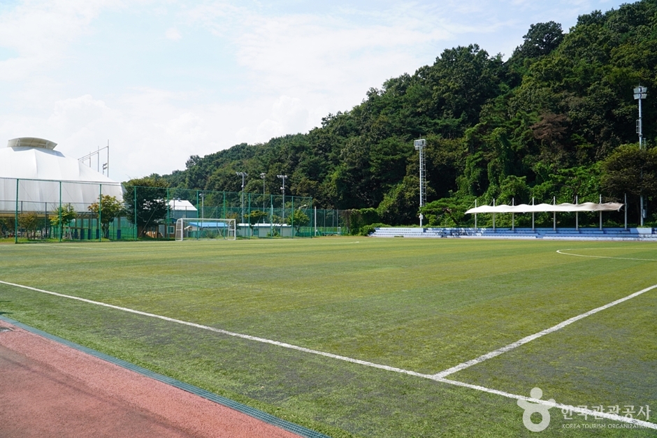 옥천레포츠공원 여행 추천 - 메고지고 옥천레포츠공원 여행 추천 - 메고지고