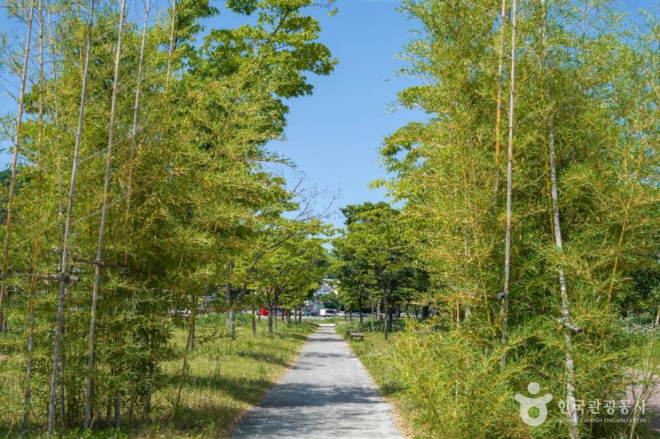 한천체육공원 여행 추천 - 메고지고 한천체육공원 여행 추천 - 메고지고