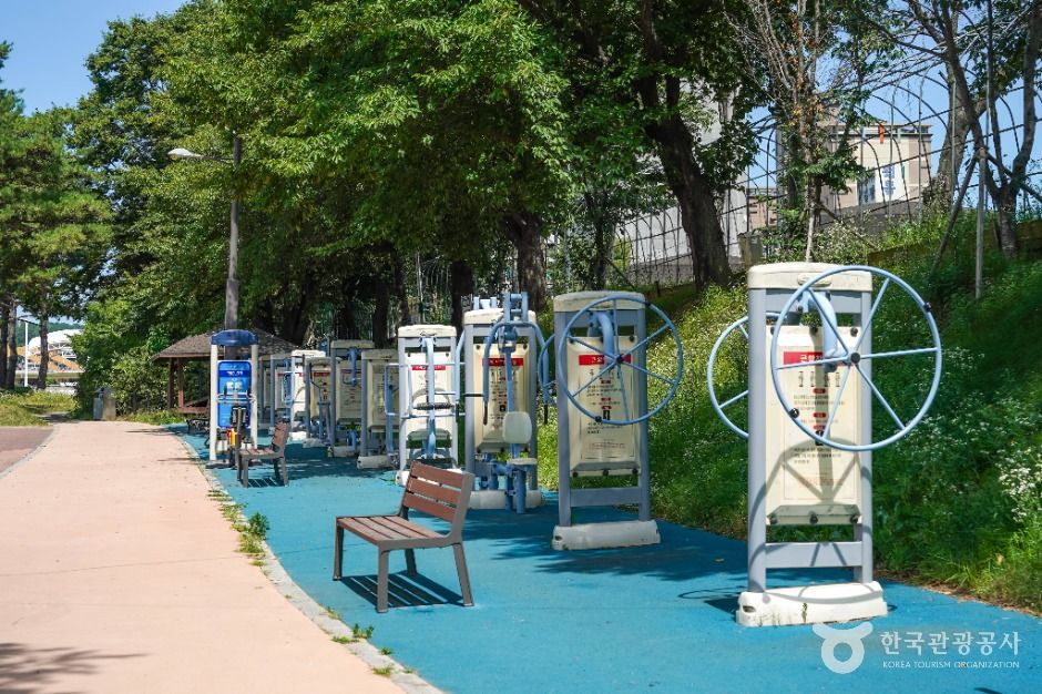 한천체육공원 여행 추천 - 메고지고 한천체육공원 여행 추천 - 메고지고