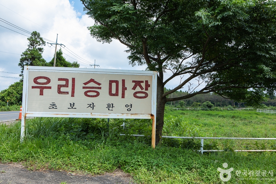 우리승마장 여행 추천 - 메고지고