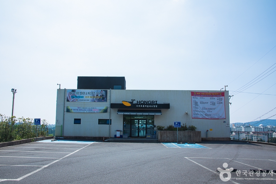 서귀포홍리실내수영장 여행 추천 - 메고지고 서귀포홍리실내수영장 여행 추천 - 메고지고